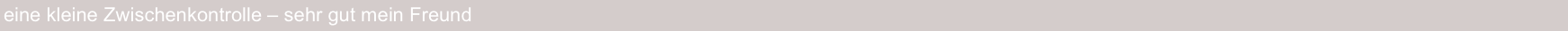 eine kleine Zwischenkontrolle – sehr gut mein Freund